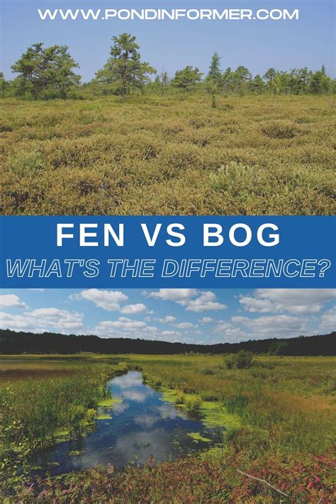 fen vs the crew|FEN vs Seren and Crew .